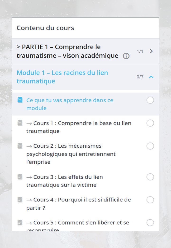 Relation toxique : Guérir d’un lien traumatique avec un programme de formation structurée – Image 2