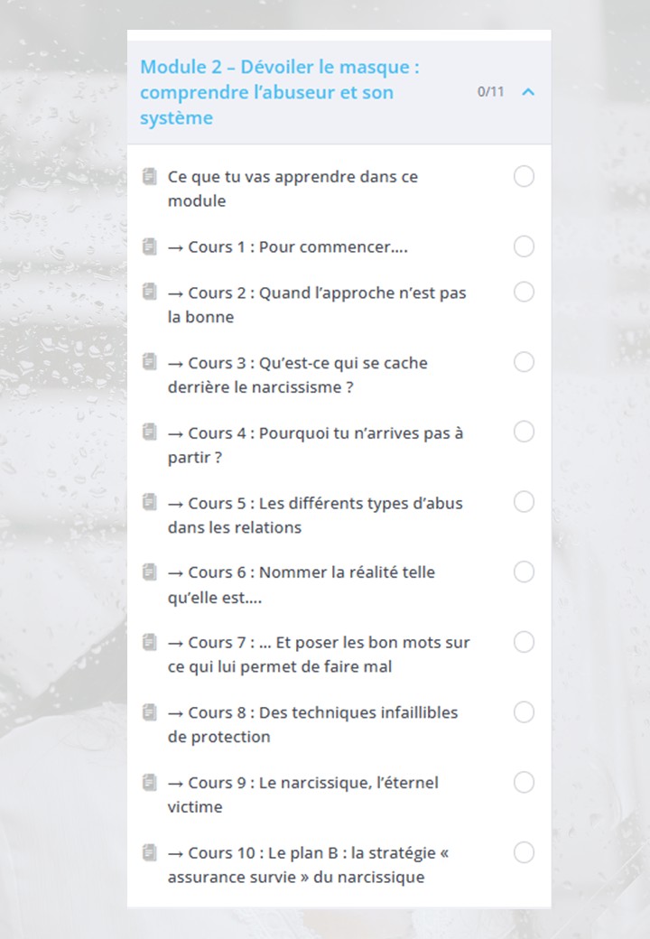 Relation toxique : Guérir d’un lien traumatique avec un programme de formation structurée – Image 3